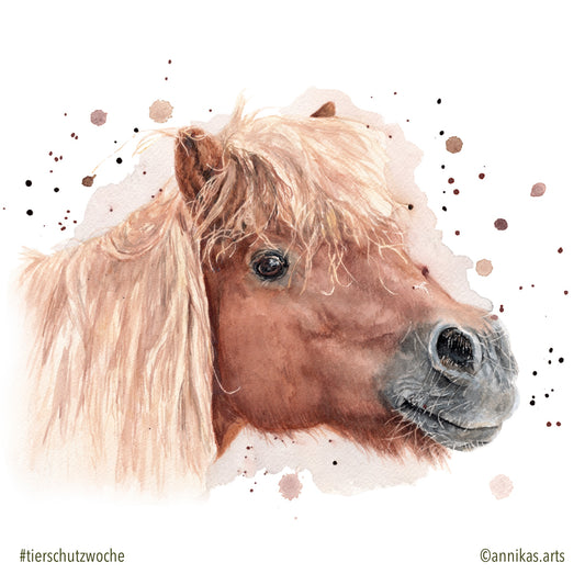 Tierschutzwoche Tag 5 - Ponykarrussels