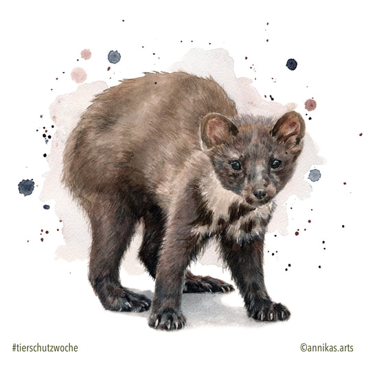 Tierschutzwoche Tag 3 - Pinseltiere