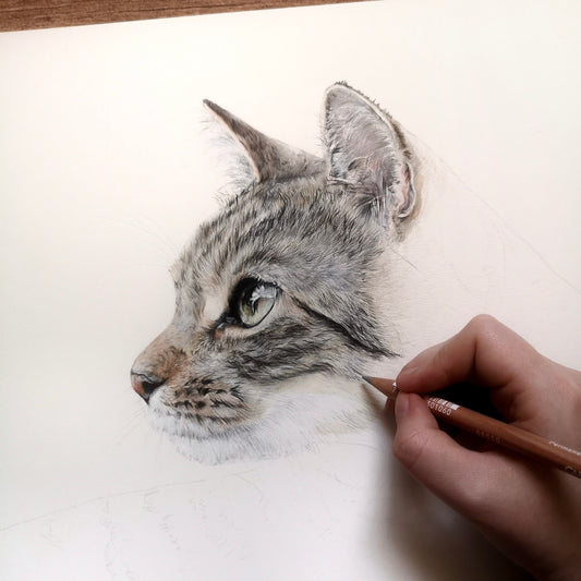 Kissa