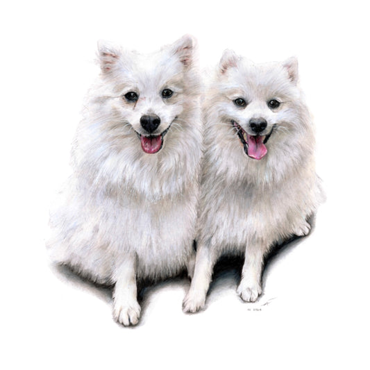 Jara und Boten