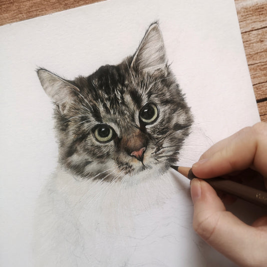 Mara