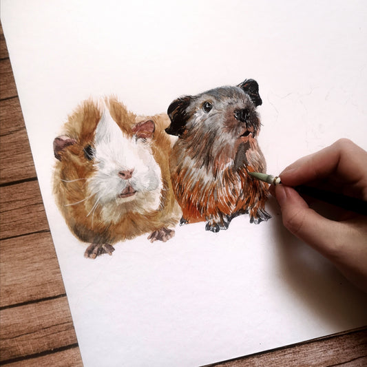 Meerschweinchen