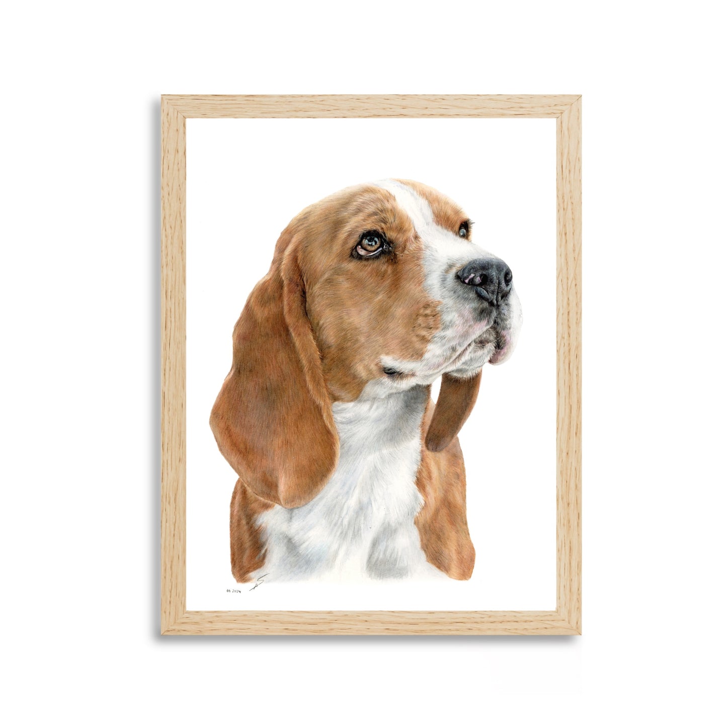 Print "Beagle"