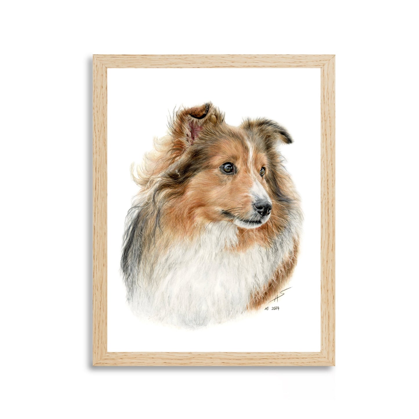 Print "Sheltie"