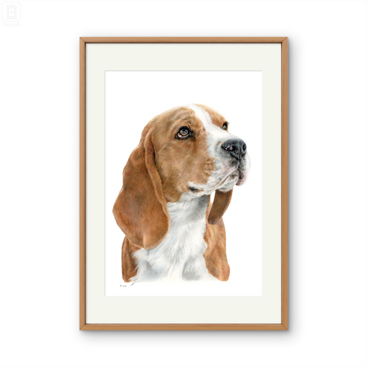 Original Buntstiftzeichnung „Beagle“