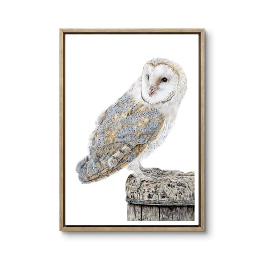 Original Buntstiftzeichnung „Elowen"