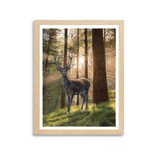 Prints „Guardian“ - Limitiert