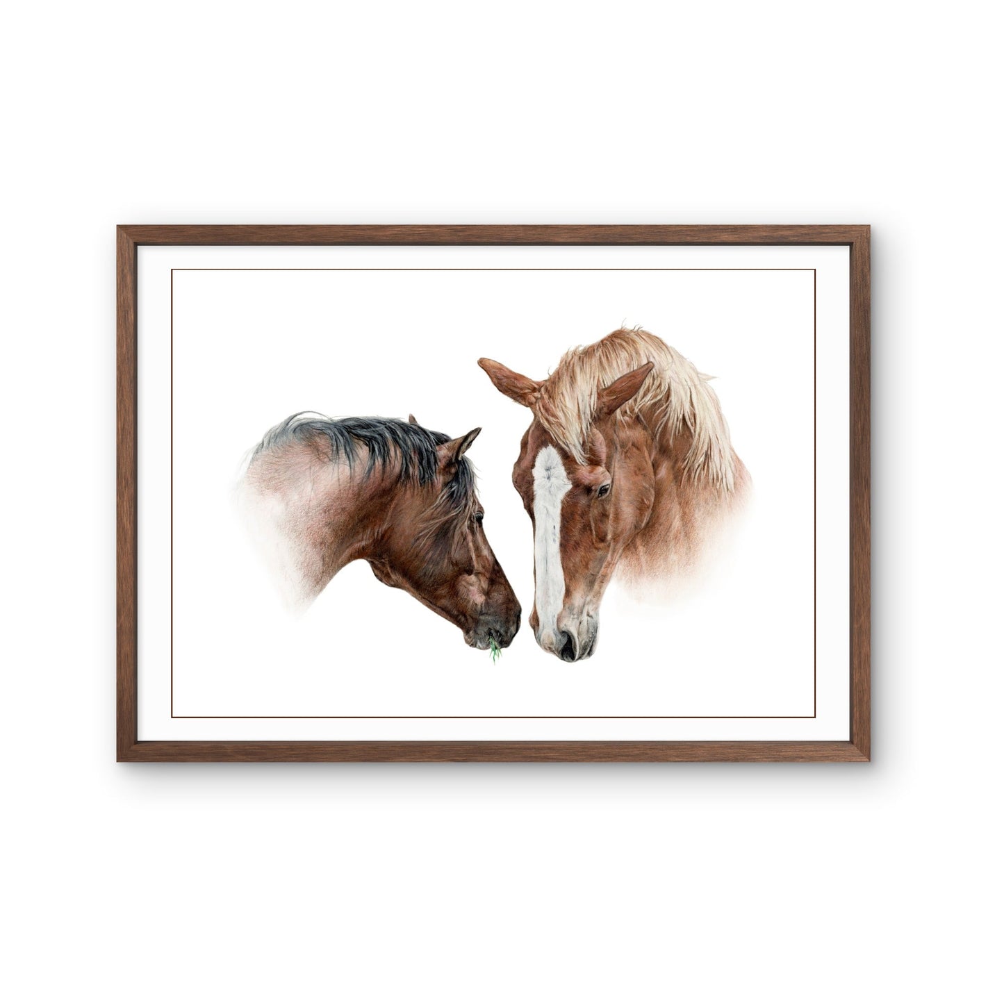 Buntstiftzeichnung zweier Pferdeköpfe, eins braun mit schwarzer Mähne, eins fuchsfarben mit heller Mähne, die sich an der Nase beschnuppern