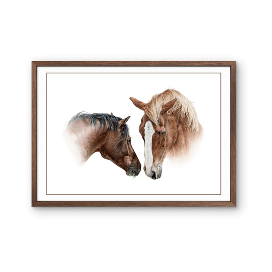 Buntstiftzeichnung zweier Pferdeköpfe, eins braun mit schwarzer Mähne, eins fuchsfarben mit heller Mähne, die sich an der Nase beschnuppern