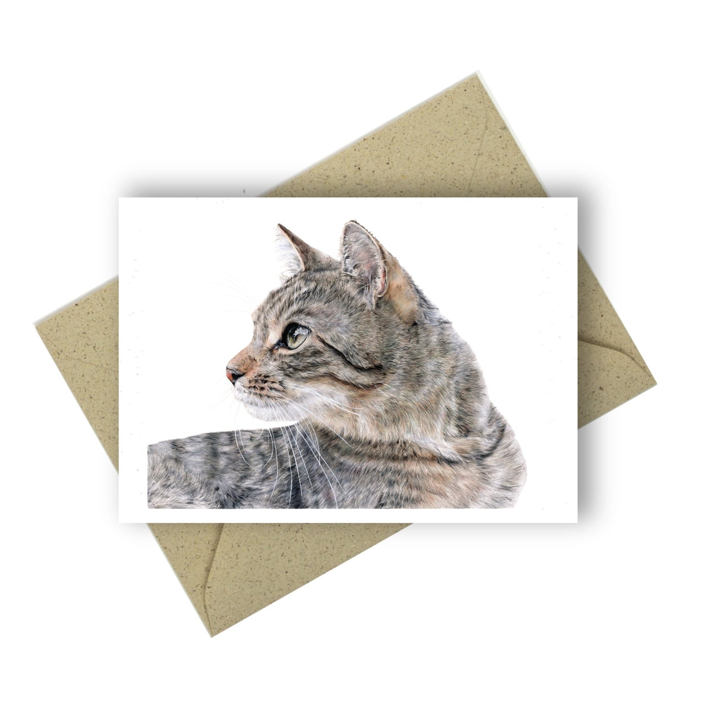 Buntstiftzeichnung einer Katze, den Kopf sieht man von der Seite. Sie blickt nach links. Die Katze ist grau-braun mit schmalen dunklen Streifen