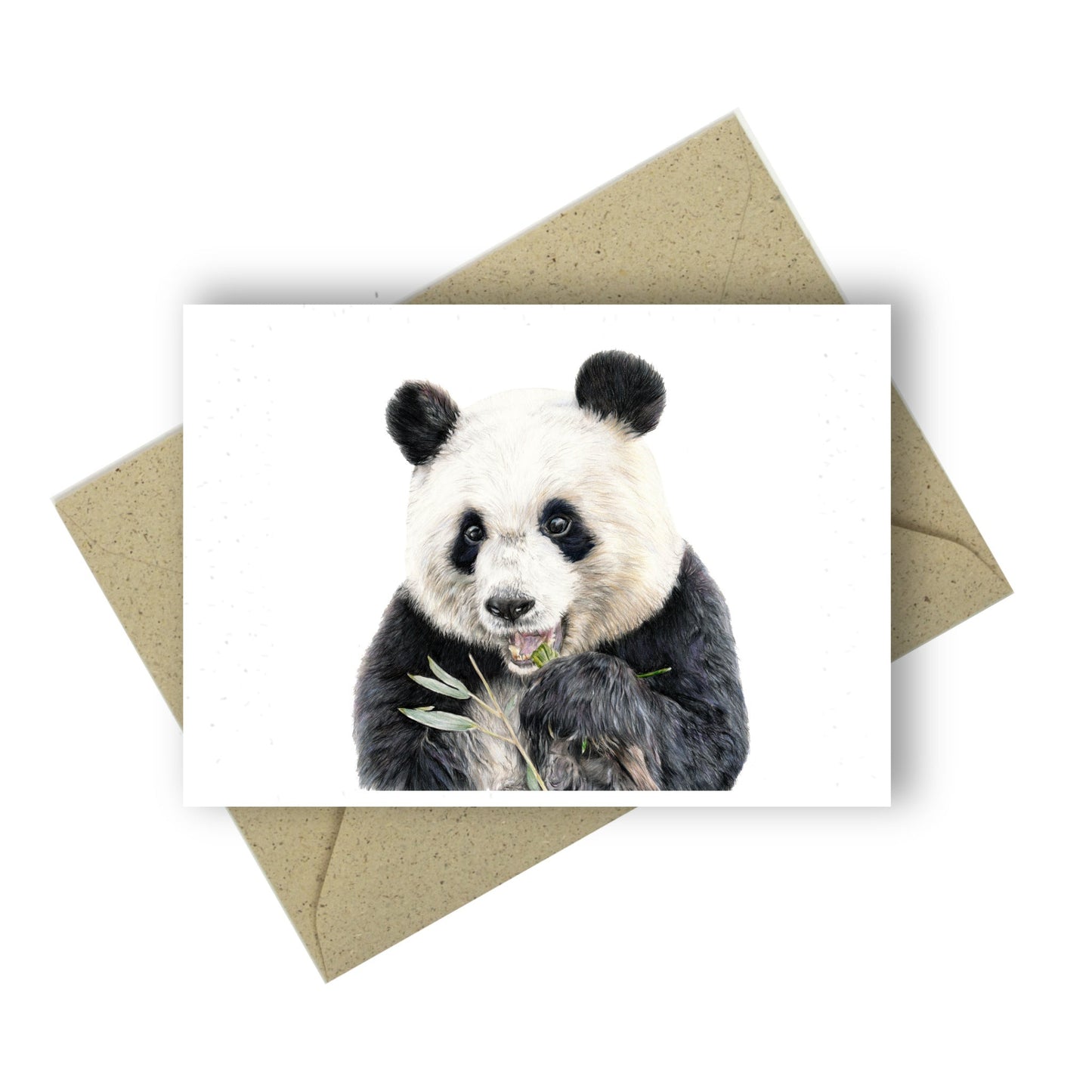 Buntstiftzeichnung eines Pandas, der den Betrachter freundlich anguckst, während er ein Blatt Bambus isst