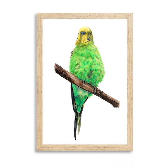Prints "Wellensittich“