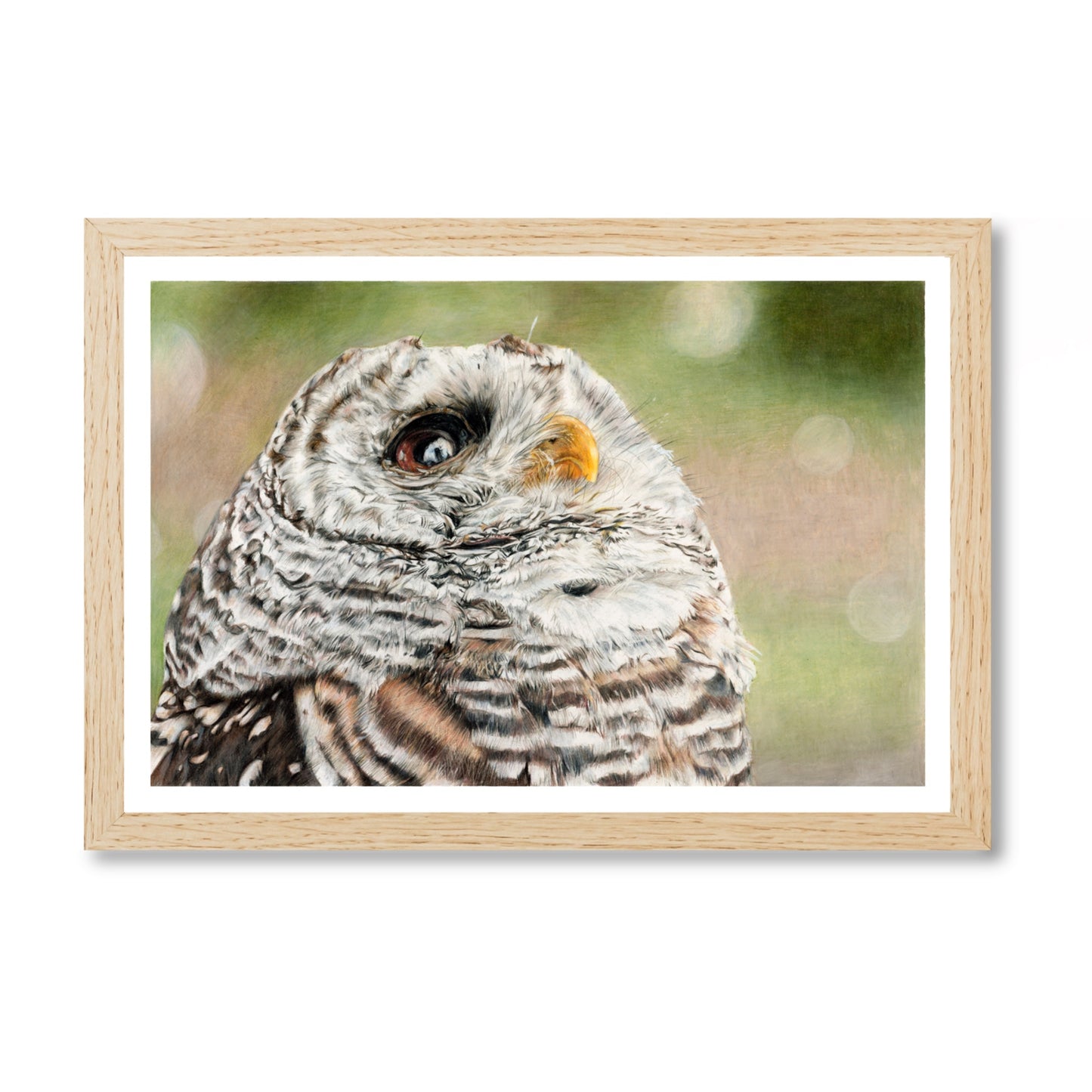Prints „Waldblick“