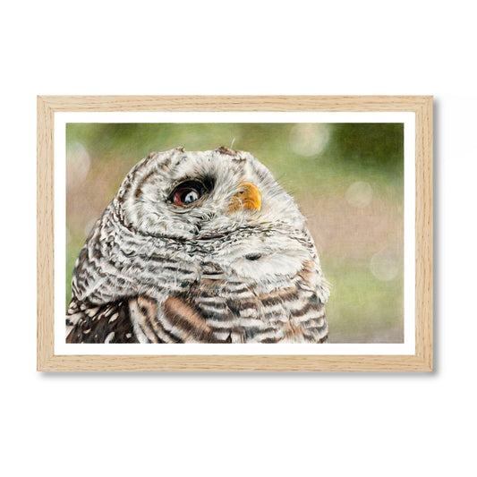 Prints „Waldblick“