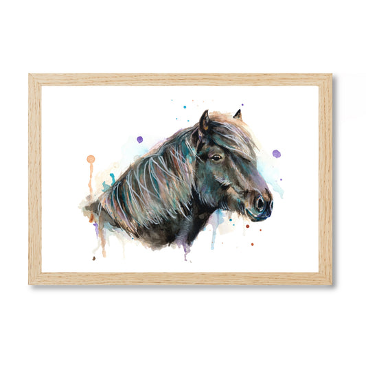 Prints „Islandpony“