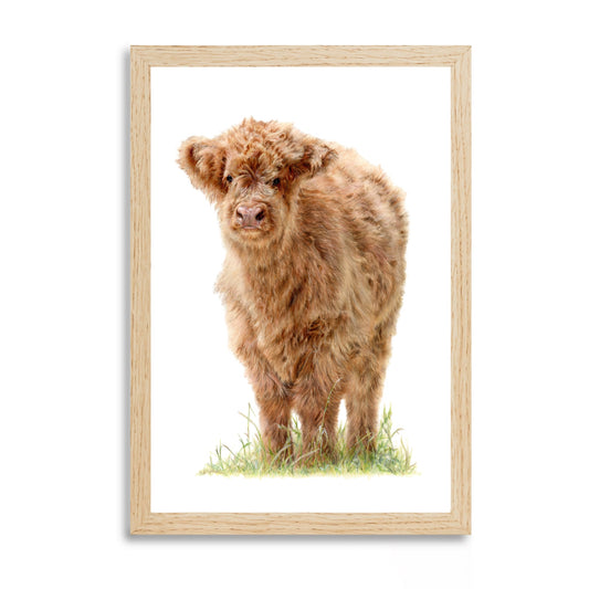 Prints "Highland Serenity“