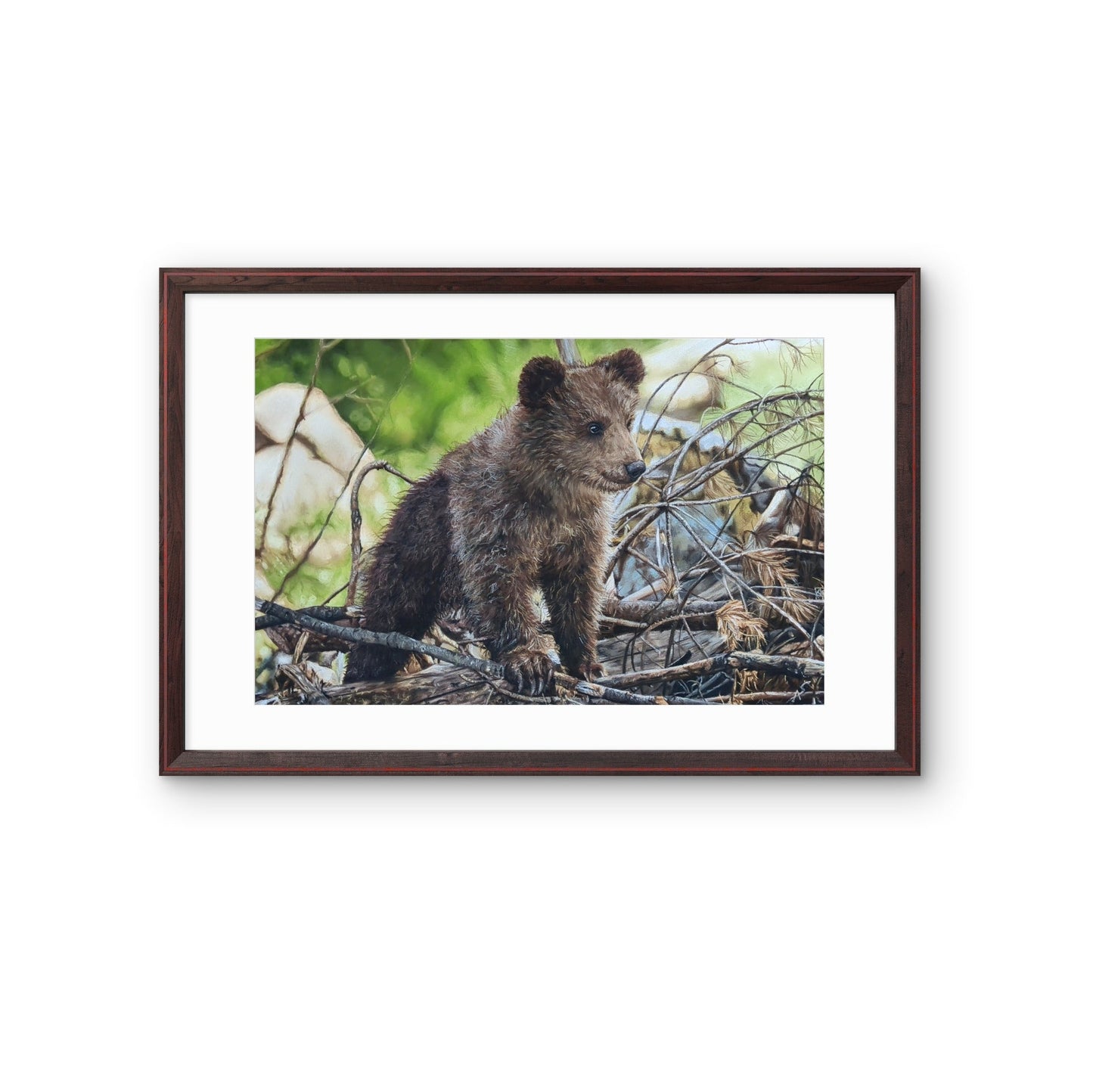 Pastellzeichnung eines Babybärs, derneugierig auf einem Ast stehend in die Ferne guckt, viel Geäst und Reisig um ihn herum, eine grüne angedeutete Wiese im Hintergrund