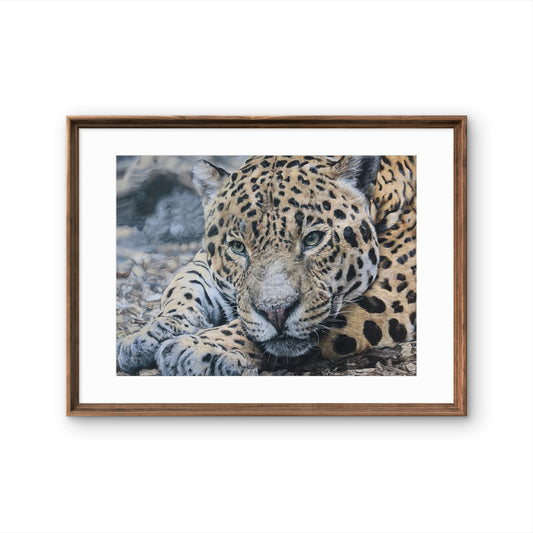 Pastellzeichnung eines liegenden Jaguars, Fokus auf Kopf und Vorderpfoten. Er hat grünliche Augen, der Hintergrund ist gräulich verschwommen. Braune Rahmung