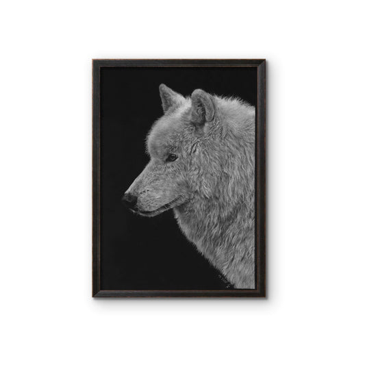 Zeichnung aus weiß und Grautönen eines Wolfskopfes auf schwarzem Papier mit dunklem Rahmen