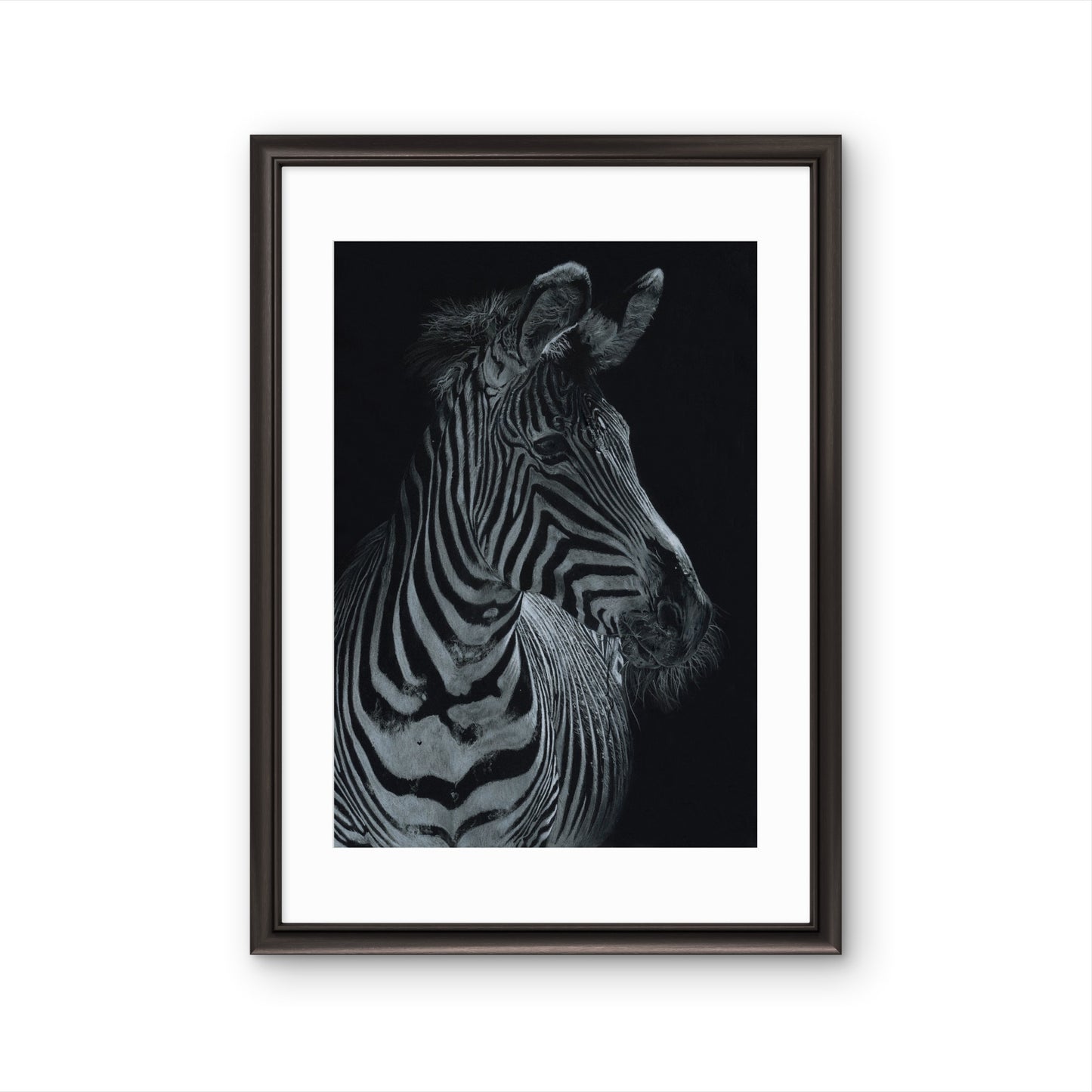 Buntstiftzeichnung eines Zebras mit schönen Lichteffekten