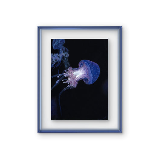 Buntstiftzeichnung einer blau lila schimmernden Qualle auf schwarzem Papier