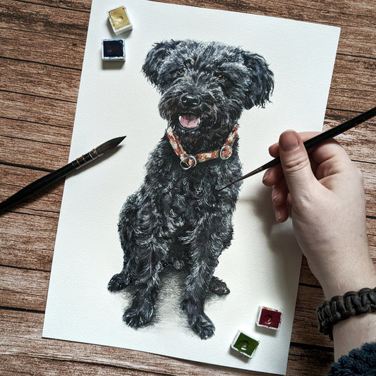 Aquarell von schwarzen lockigen Hund, rechts im Bild eine Hand, die einen Pinsel hält 
