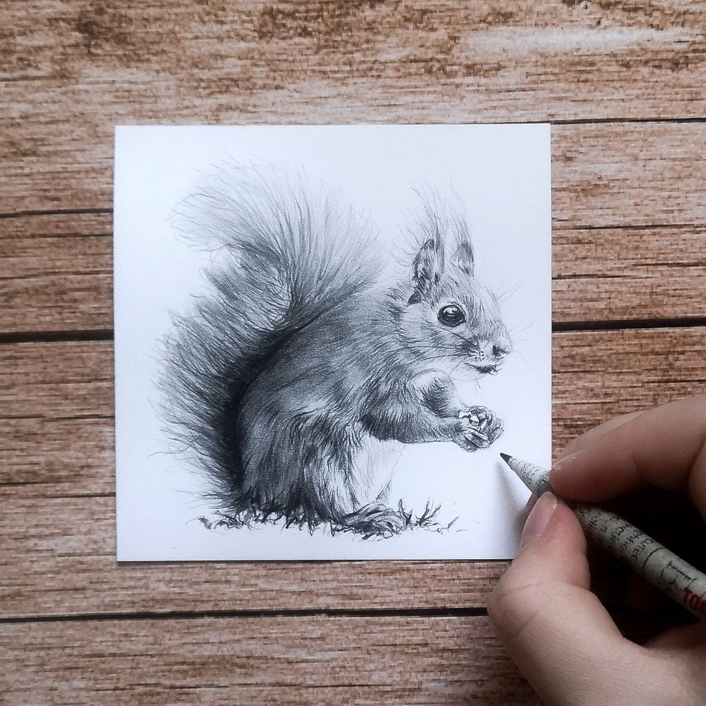Mini Eichhörnchen