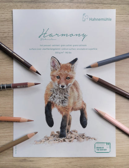 Wenn Zeichnungen lebendig werden - Tiere mit Buntstift zeichnen [Präsenzkurs]