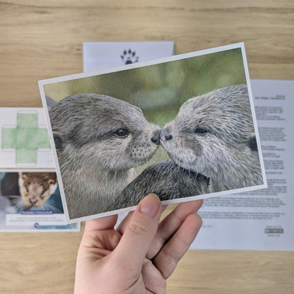 Paw & Paper - Maibrief 2026 - Otter