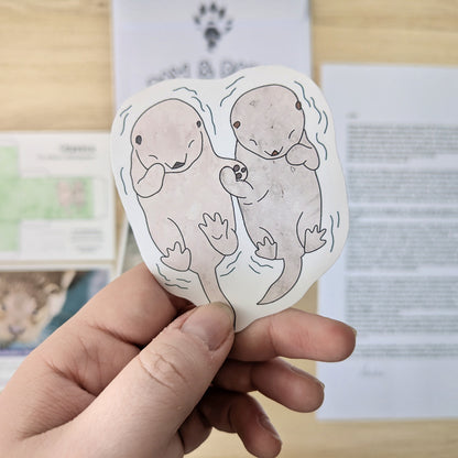 Paw & Paper - Maibrief 2026 - Otter