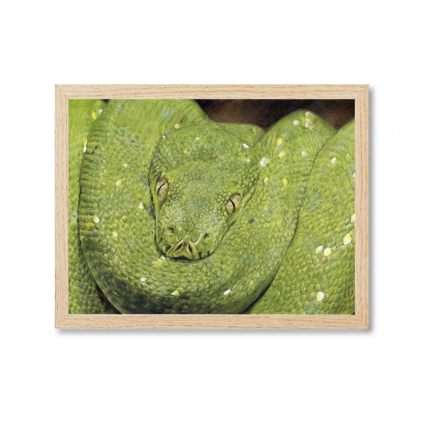 Print "Viridis"