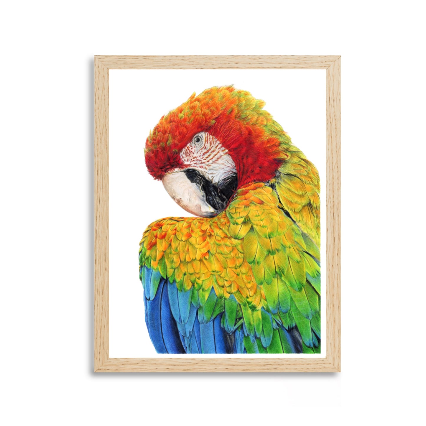 Print "Jungl Prism"