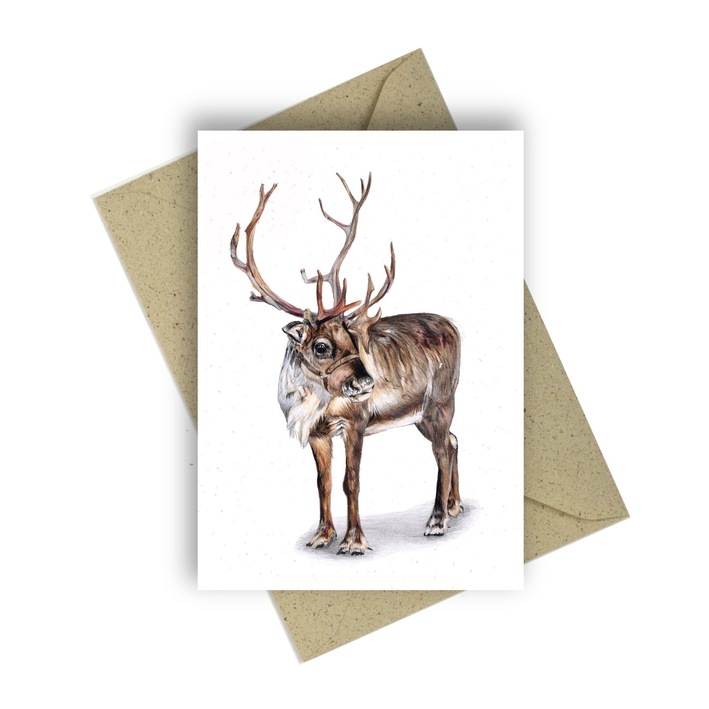 Greeting card “Reindeer”
