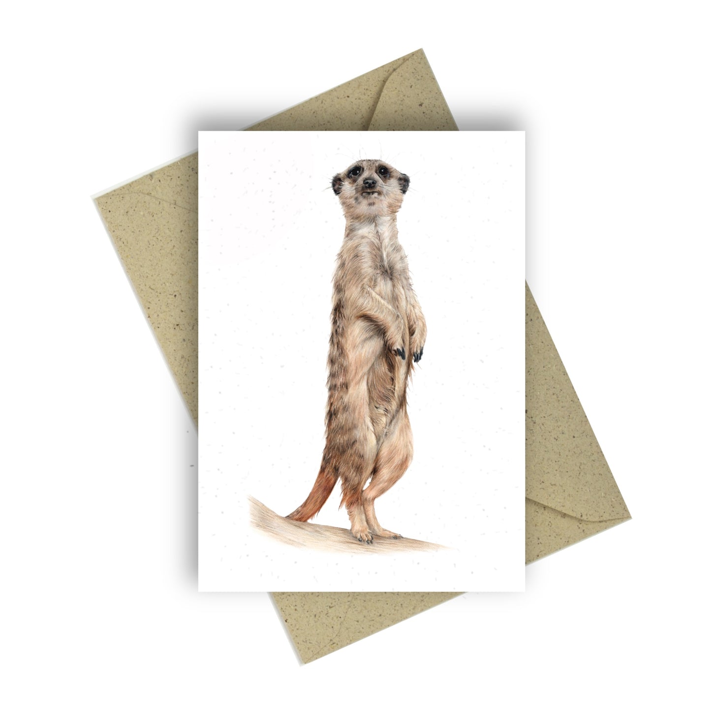 Greeting card “Meerkat”