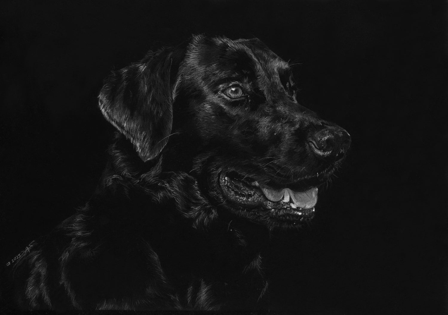 Zeichnung eines schwarzen Labradors mit weißem Buntstift auf schwarzem Papier 