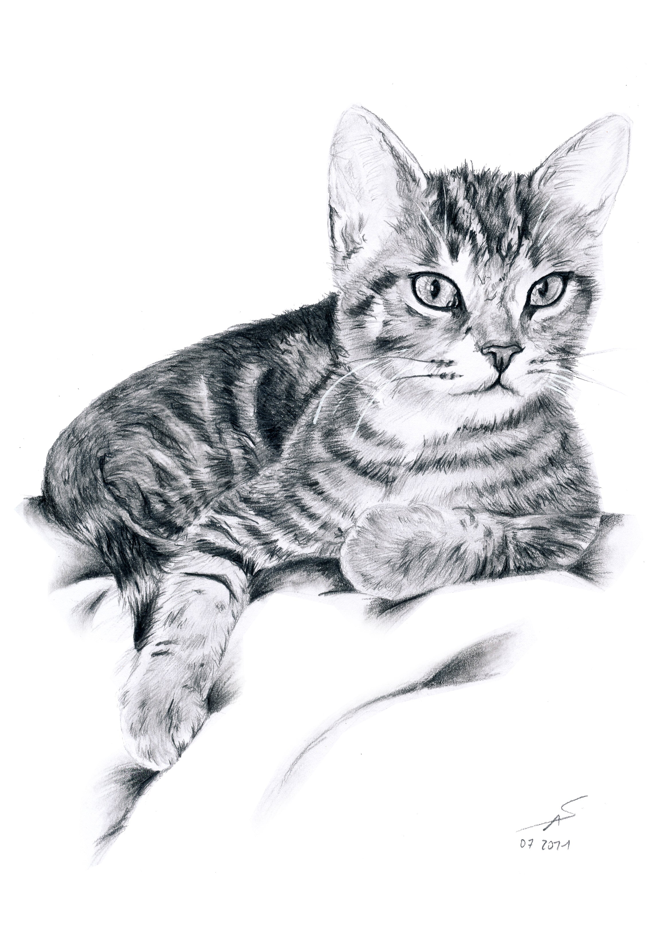 Realistische Bleistiftzeichnung einer getigerten Katze, die auf einer Decke liegt und den Kopf neugierig hebt