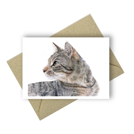 Buntstiftzeichnung einer Katze, den Kopf sieht man von der Seite. Sie blickt nach links. Die Katze ist grau-braun mit schmalen dunklen Streifen
