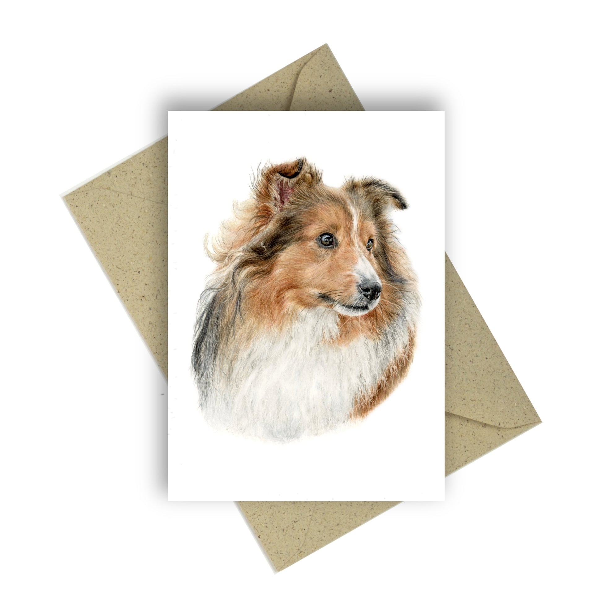 Buntstiftzeichnung vom Kopf eines hellbraunen Shelties mit weißer Brust