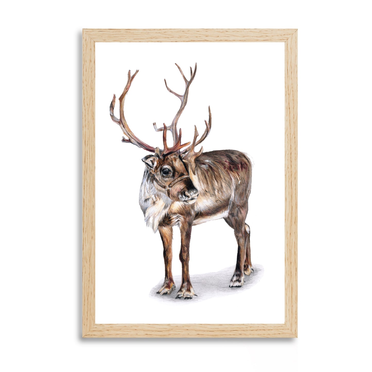 Prints “Reindeer”
