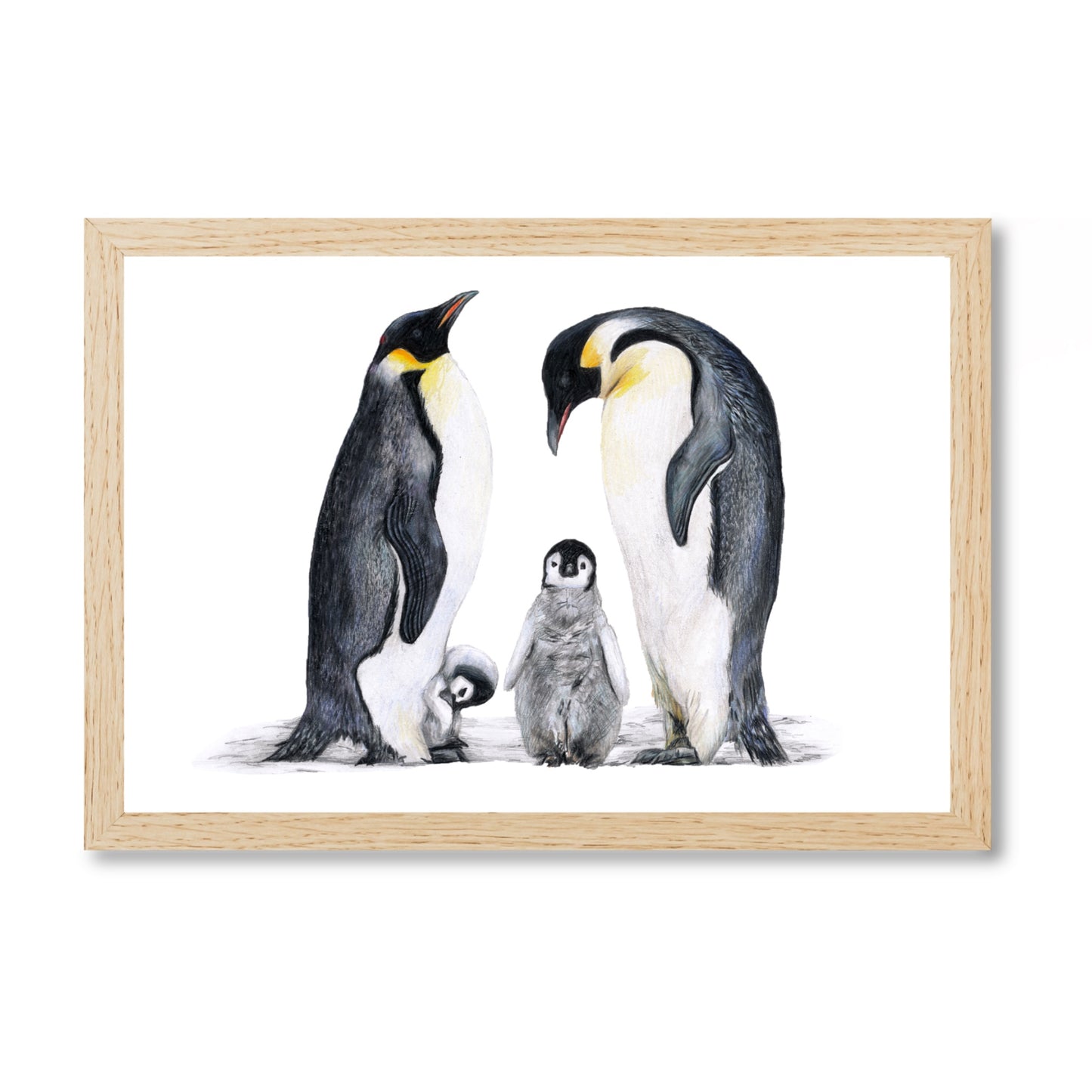 Prints „Pinguine“