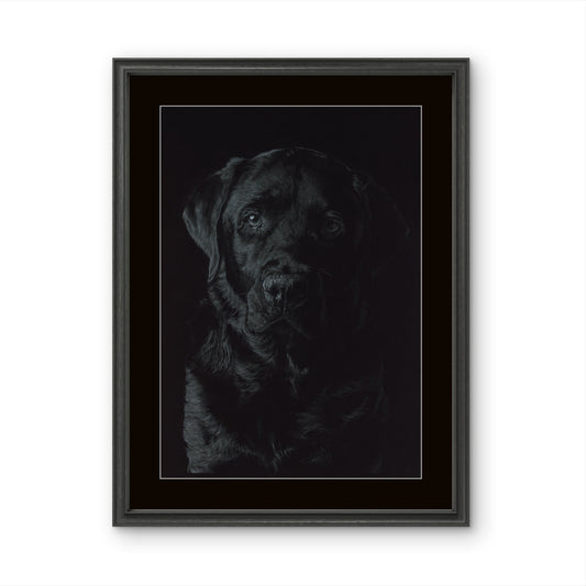 Original Buntstiftzeichnung "Silent Gaze"