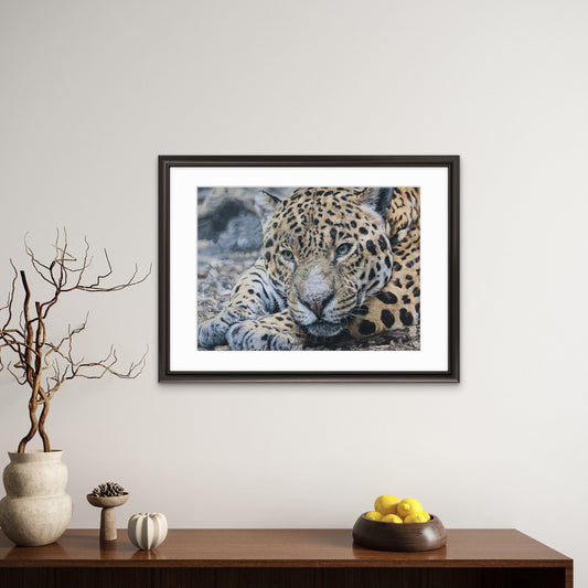 Pastellzeichnung eines liegenden Jaguars, Fokus auf Kopf und Vorderpfoten an der Wand über einer braunen Kommode mit Dekoelementen.