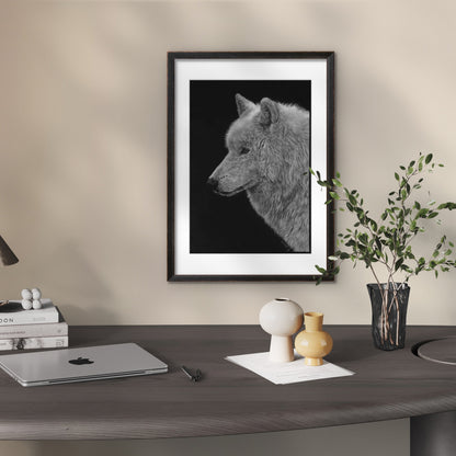 Zeichnung aus weiß und Grautönen eines Wolfskopfes auf schwarzem Papier mit dunklem Rahmen an der Wand über einem Schreibtisch
