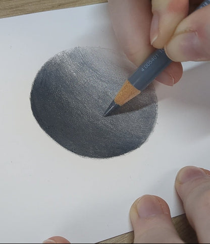 Wenn Zeichnungen lebendig werden - Tiere mit Buntstift zeichnen [Präsenzkurs]