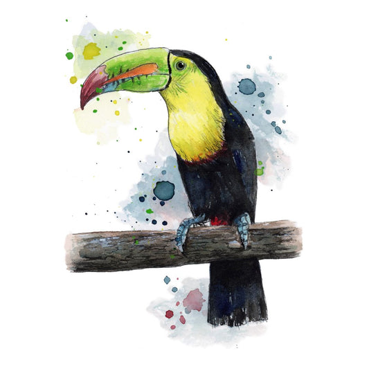 Sketch & Splash - Tierisch bunt [Präsenzkurs]