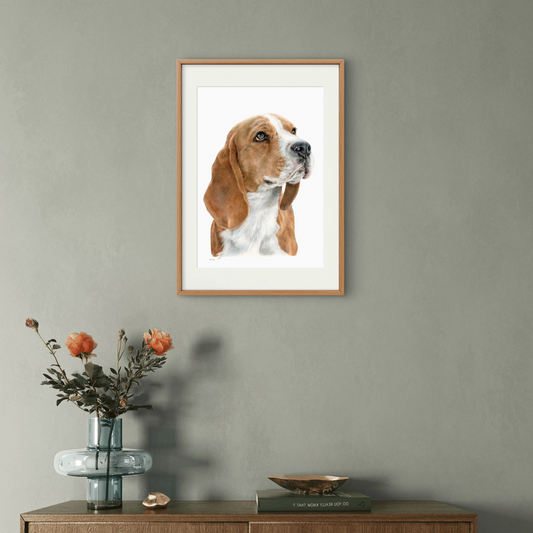 Original Buntstiftzeichnung „Beagle“