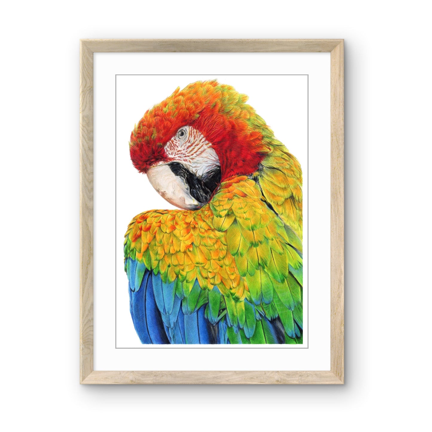 Original Buntstiftzeichnung „Jungle Prism"