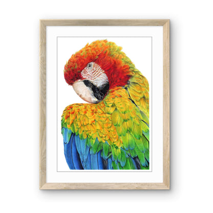 Original Buntstiftzeichnung „Jungle Prism"
