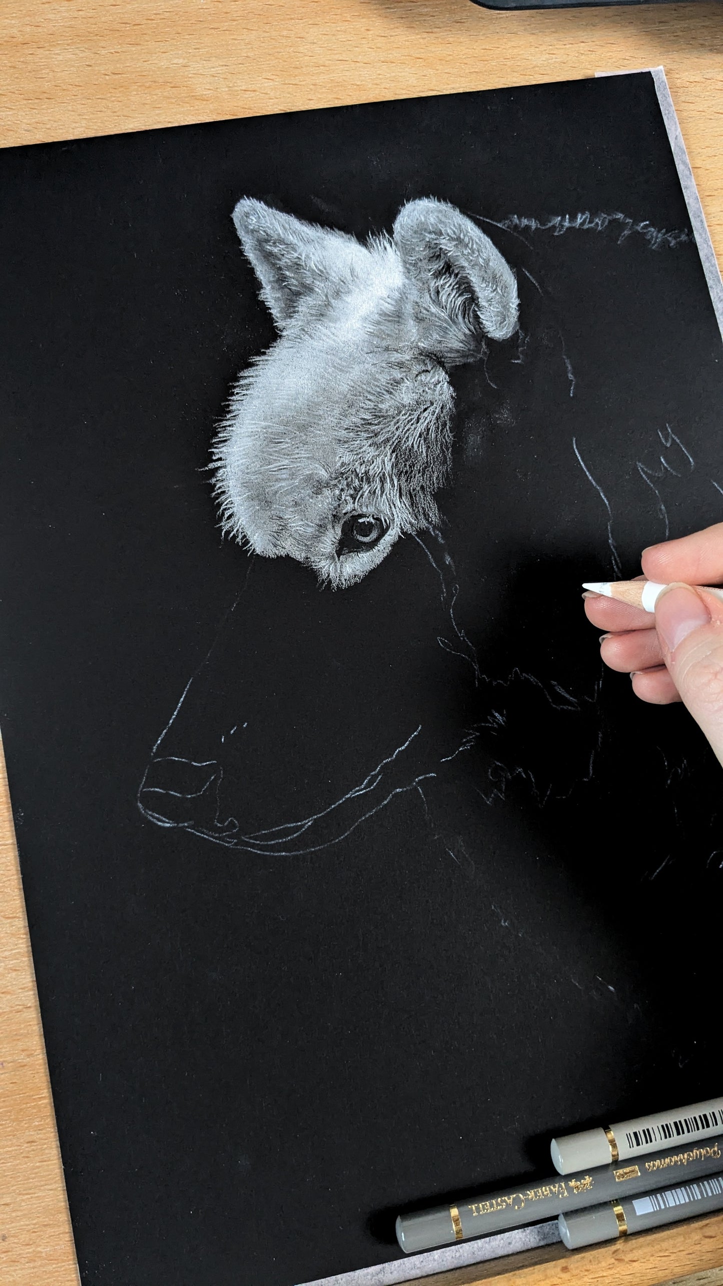 Black and White  - Buntstiftzeichenkurs auf schwarzem Papier [Präsenzkurs]