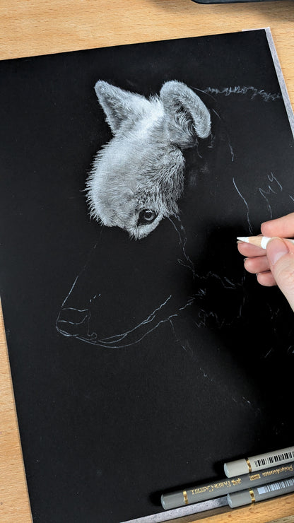 Black and White  - Buntstiftzeichenkurs auf schwarzem Papier [Präsenzkurs]